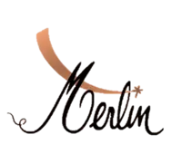 MERLIN SAS