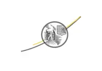 EARL COULAUDIN BUSSY